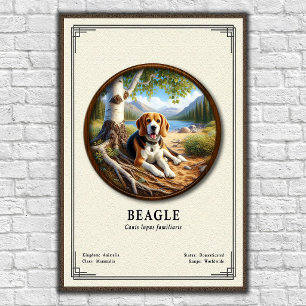 Beagle Zoologi Serie Poster