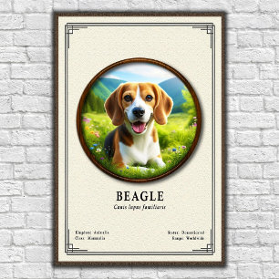 Beagle Zoologi Serie Poster