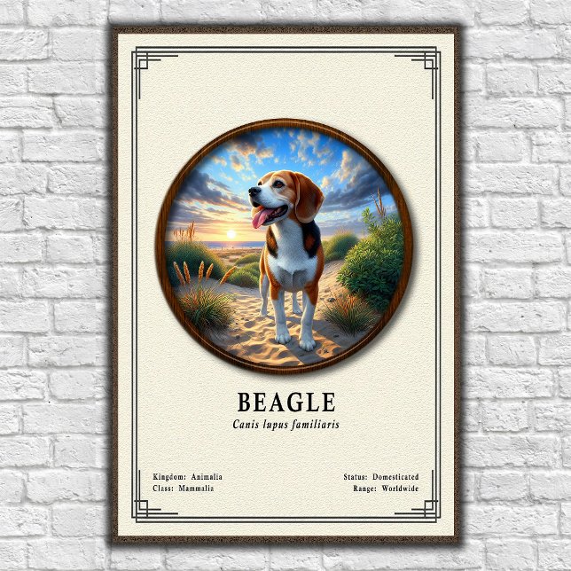 Beagle Zoologi Serie Poster (Skapare uppladdad)