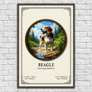 Beagle Zoologi Serie Poster