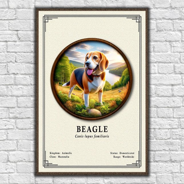 Beagle Zoologi Serie Poster (Skapare uppladdad)