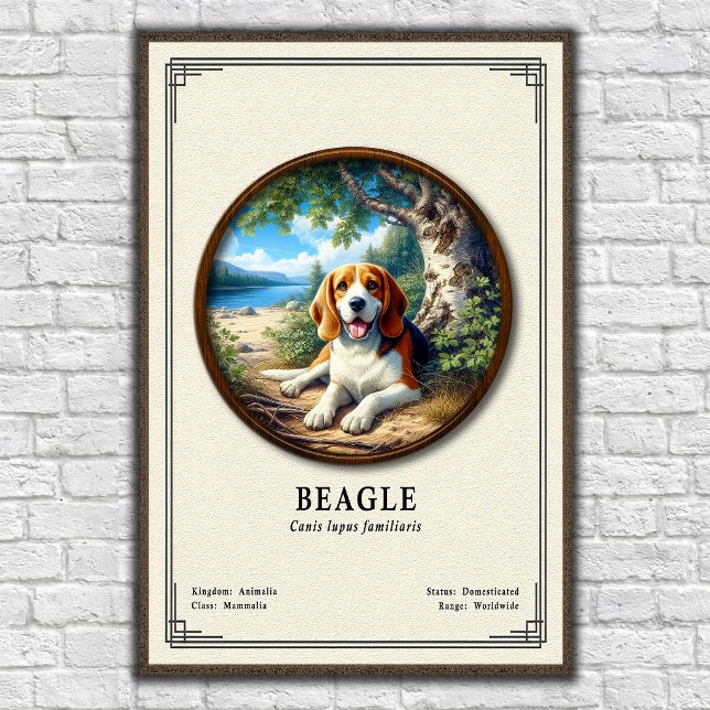 Beagle Zoologi Serie Poster (Skapare uppladdad)