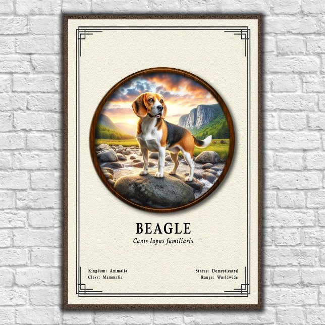 Beagle Zoologiska Serie Poster (Skapare uppladdad)