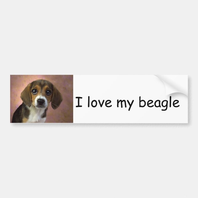 Beaglebildekal Bildekal (Framsidan)