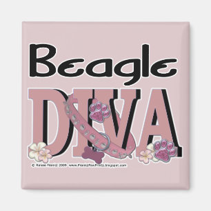 BeagleDIVA Magnet