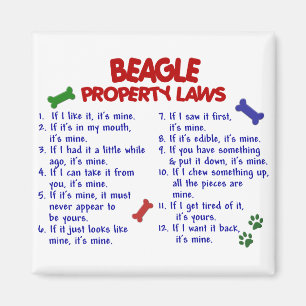 BEAGLEegendomlagar 2 Magnet