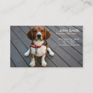 Beaglehund designvisitkort visitkort