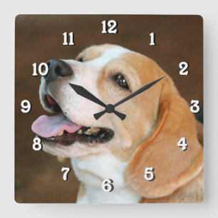 Beaglehund Fyrkantig Klocka