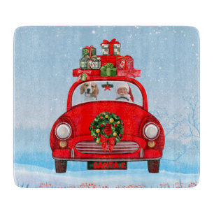 Beaglehund i bil med tomte