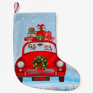 Beaglehund i bil med tomte liten julstrumpa