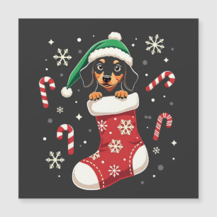 Beaglehund som bär tomteluva Julälskare