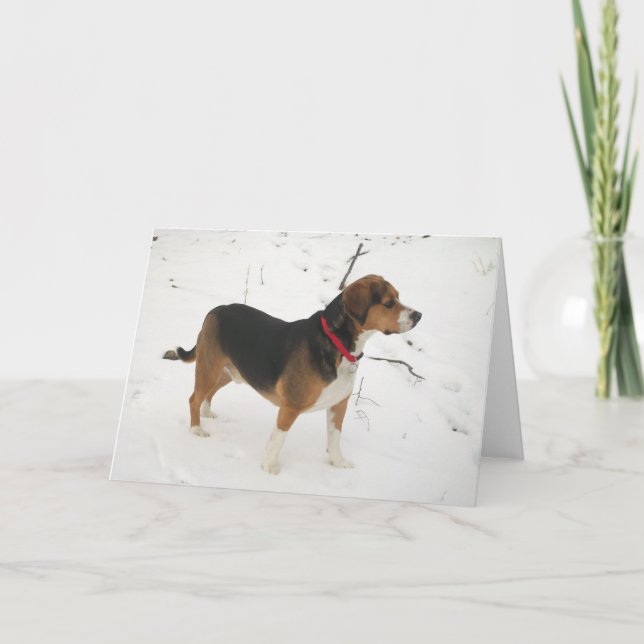 Beaglehundjakt i Cooper för snöhälsningkort Helgkort (Framsida)