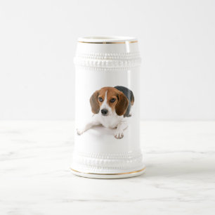 Beaglehundöl Stein Sejdel