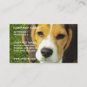 Beaglehundvisitkort Visitkort