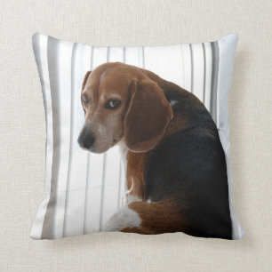 beagleinställning kudde