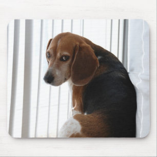 beagleinställning musmatta