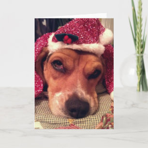 Beaglejulkort Helgkort
