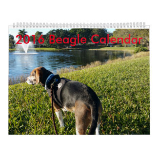 Beaglekalender 2016 kalender
