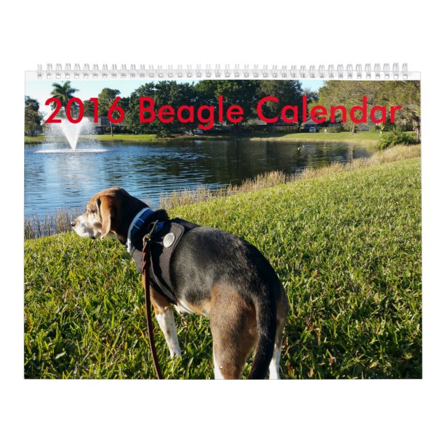 Beaglekalender 2016 kalender (Omslag)