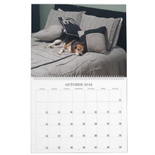 Beaglekalender 2017 kalender