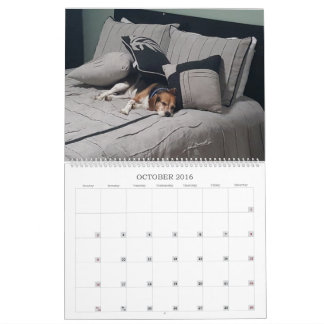 Beaglekalender 2017 kalender