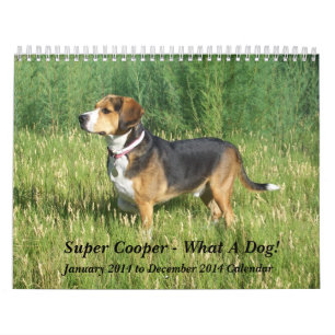 Beaglekalender för 12 månad - vad en hund! kalender