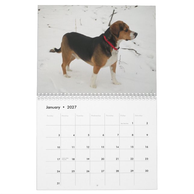 Beaglekalender för 12 månad - vad en hund! kalender (Jan 2027)