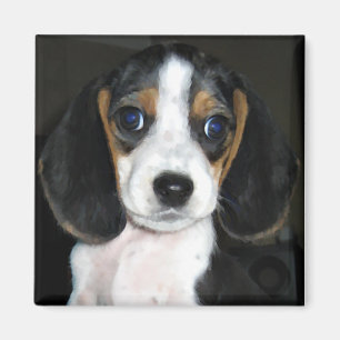 Beaglemagnet 2 magnet