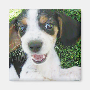 Beaglemagnet Magnet