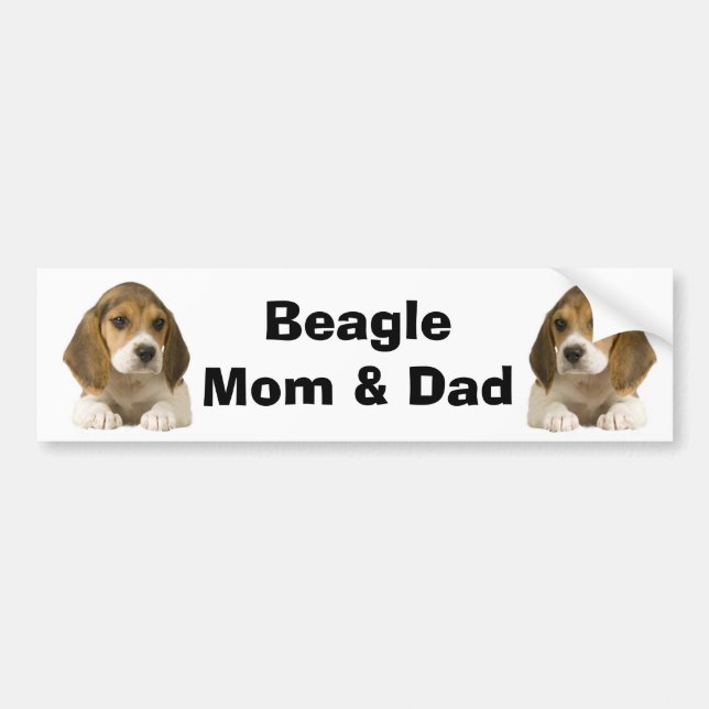 Beaglemamma- & pappabildekal bildekal (Framsidan)