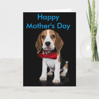 Beaglemors dagkort kort