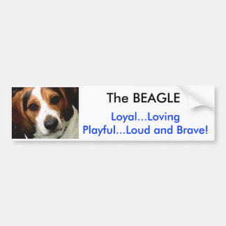 BEAGLEN BILDEKAL