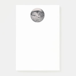 beaglen postar det noterar post-it block