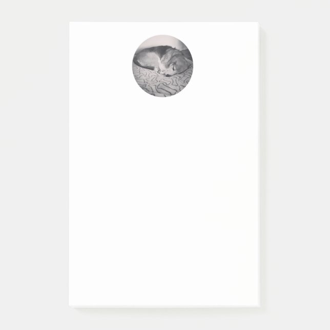 beaglen postar det noterar post-it block (Framsida)