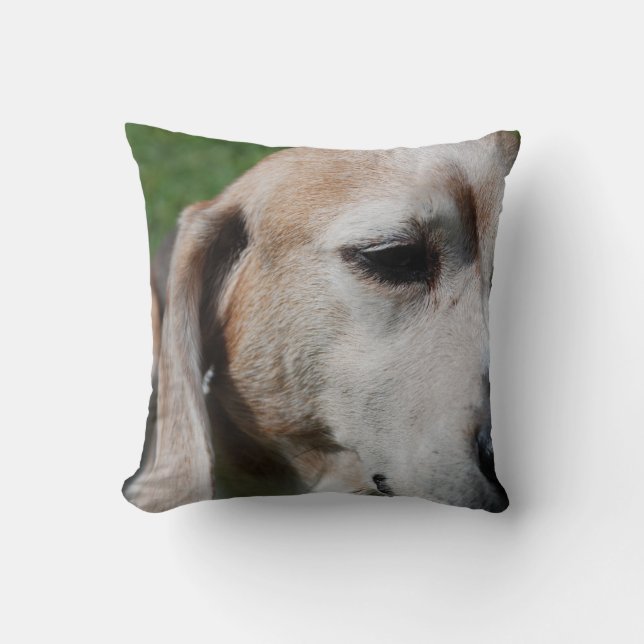 beagleporträtt kudde (Framsida)