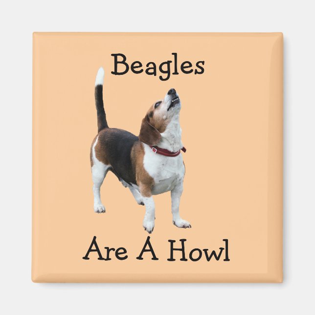 Beagles är en Rolig hund Magnet (Framsidan)