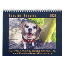 Beagles Beagles Väggkalender 2026