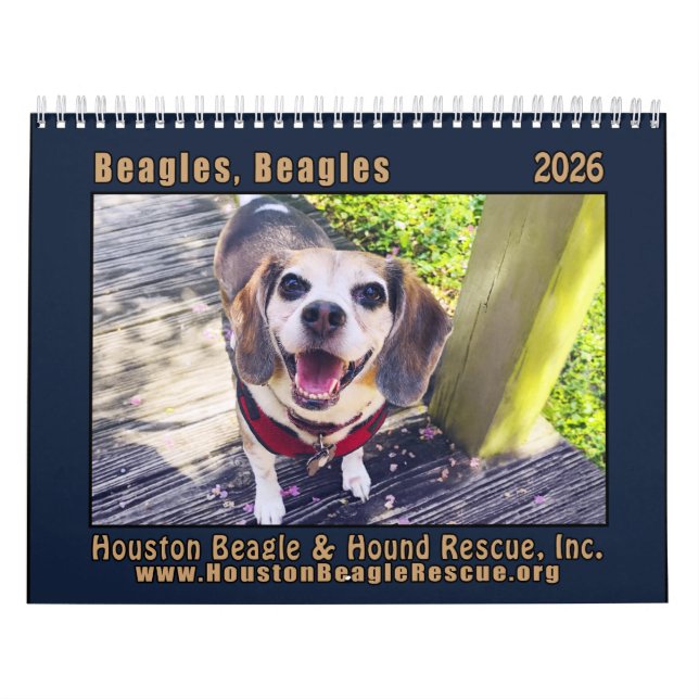 Beagles Beagles Väggkalender 2026 Kalender (Omslag)