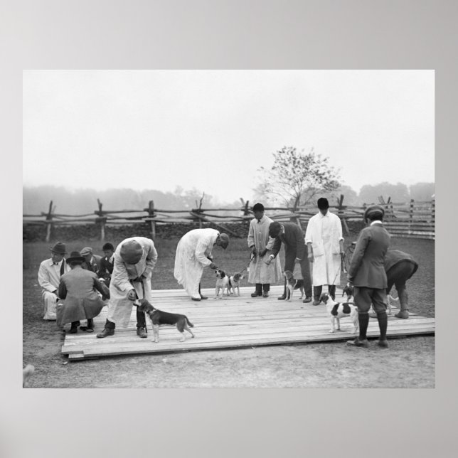 Beagles Bunch, 1914 Poster (Framsidan)