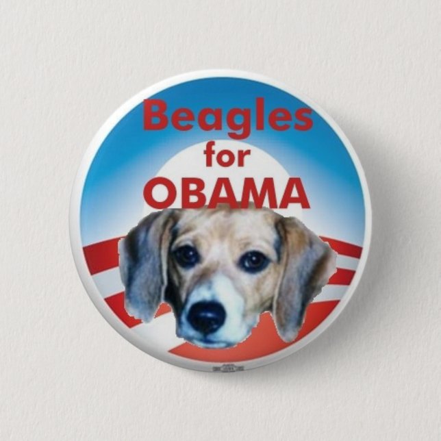 Beagles för Obama Knapp (Framsida)