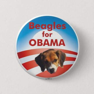 Beagles för Obama Knapp