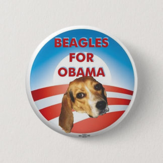 Beagles för Obama Knapp