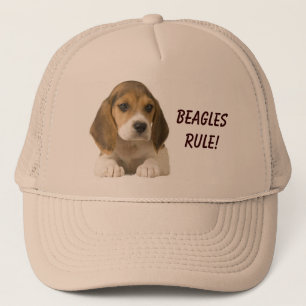 Beagles härskar hatten keps