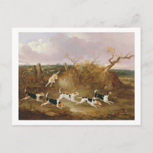 Beagles in Fullt Gråter, 1845 (oil on canvas) Vykort