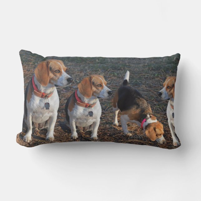 Beagles Ju Fler Desto Gladare Beagle Lumbarkudde (Framsida)