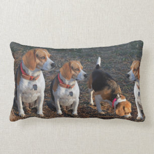Beagles Ju Fler Desto Gladare Beagle Lumbarkudde