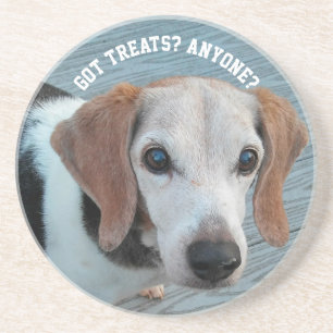 Beagles Kärlek Trets Rolig hund gåva Underlägg