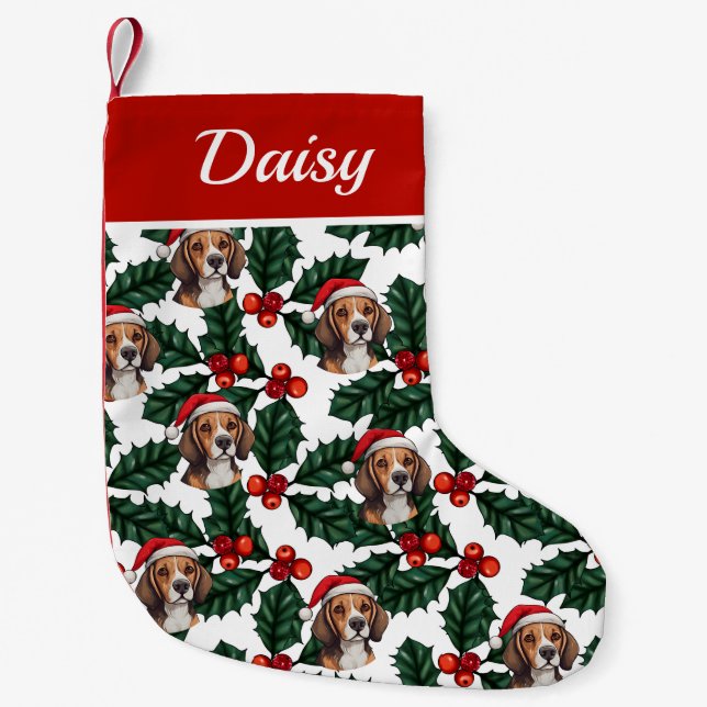 Beagles och Holly Liten Julstrumpa (Framsidan)