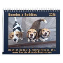 Beagles och kompisar 2026 Kalender