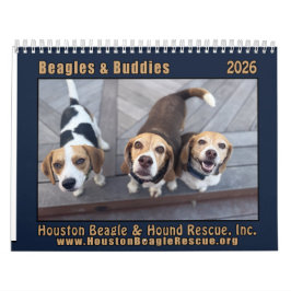 Beagles och kompisar 2026 Kalender